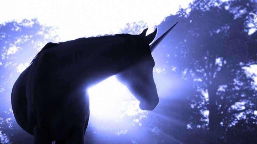 Crece el número de "unicornios cripto": qué se puede esperar de este ecosistema tan dinámico