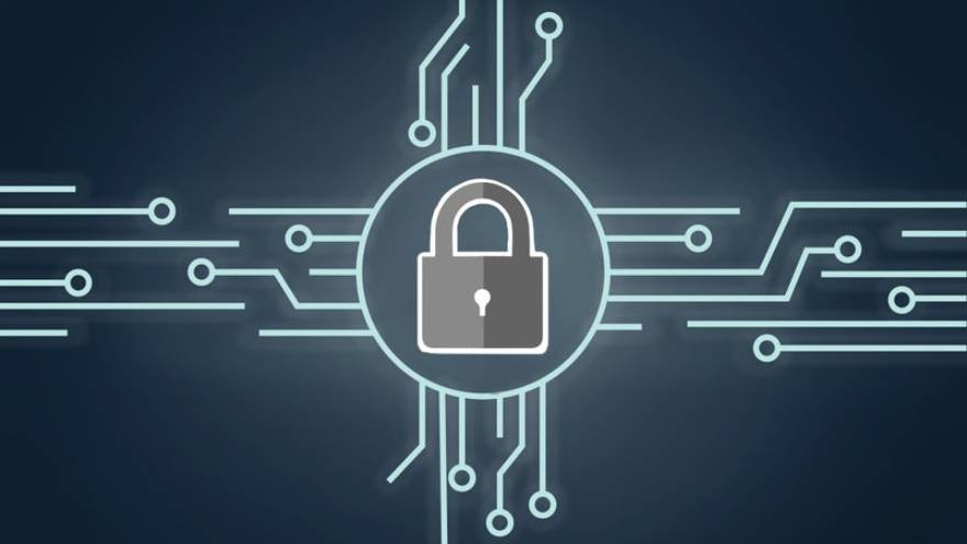 Encuesta reveladora: este porcentaje de usuarios de criptomonedas no aseguran bien sus activos