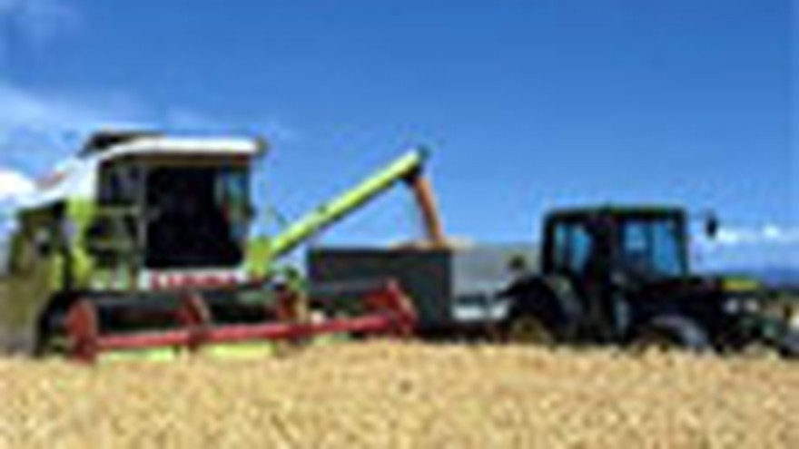 La agroindustria, el sector que sufre la mayor carga impositiva
