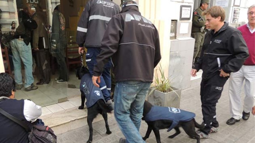 Salta: la AFIP realizó 15 allanamientos en "cuevas" y secuestró 40 armas de fuego