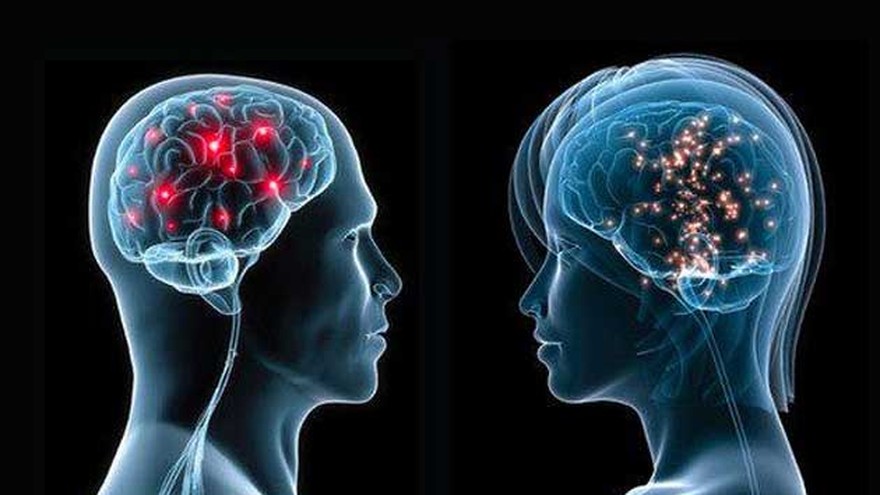 Estos son los diez descubrimientos del cerebro realizados en el 2014