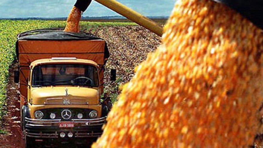 Agroindustria avisó al Gobierno que duplicará la venta de dólares