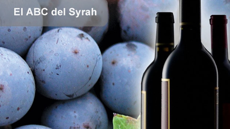 El ABC del Syrah: 10 claves para conocer mejor las cualidades de esta variedad