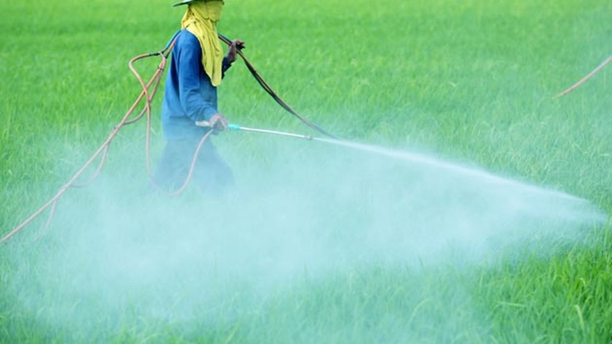 Argentina envenenada: proliferan el cáncer y las malformaciones por el uso de químicos en alimentos