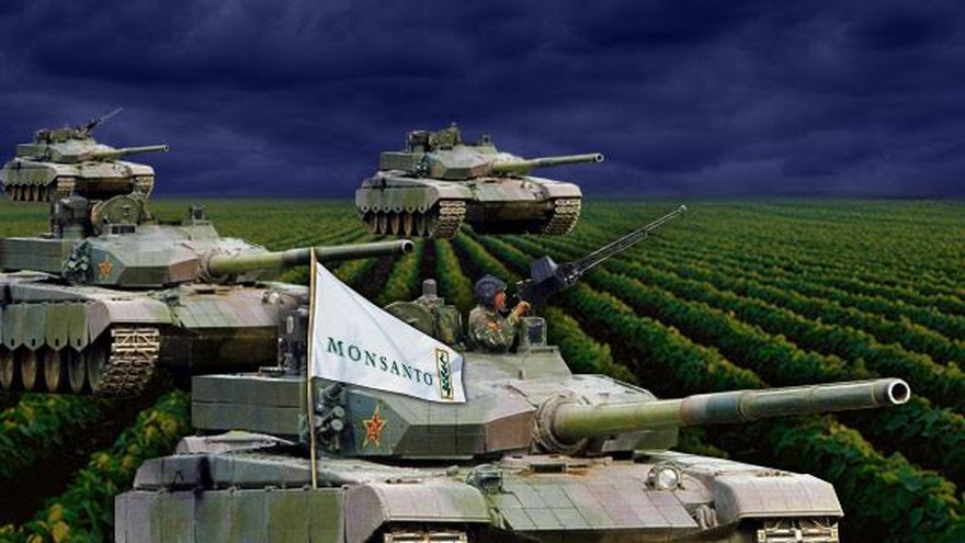 Sin acuerdo: Monsanto, junto con "pesos pesado", enfrenta al Gobierno y evalúa irse del país