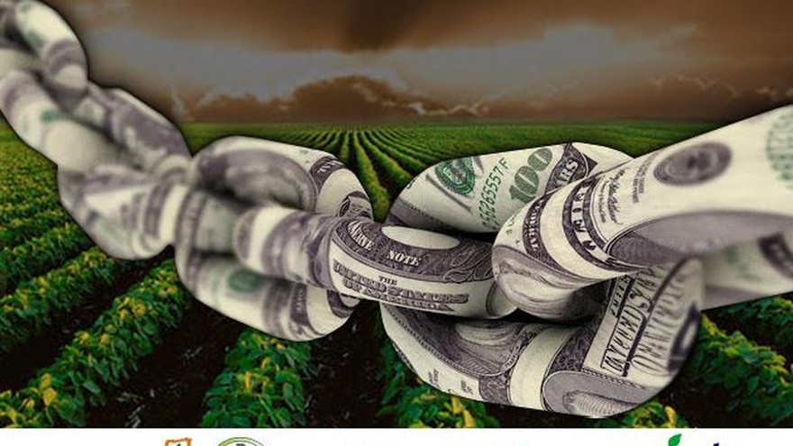 Crece la ola de megafusiones en los agronegocios y anticipan importantes cambios para la Argentina