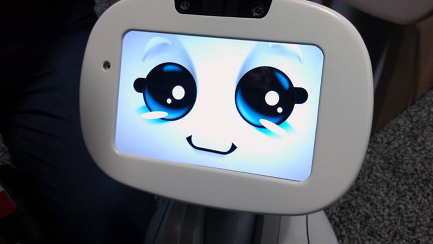 Llegan los robots con "personalidad": acompañan, guían y hasta cortan el césped