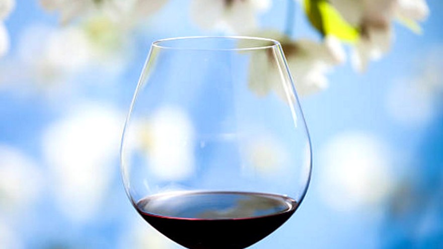 Cinco vinos nuevos y frescos para descorchar con la llegada de la primavera