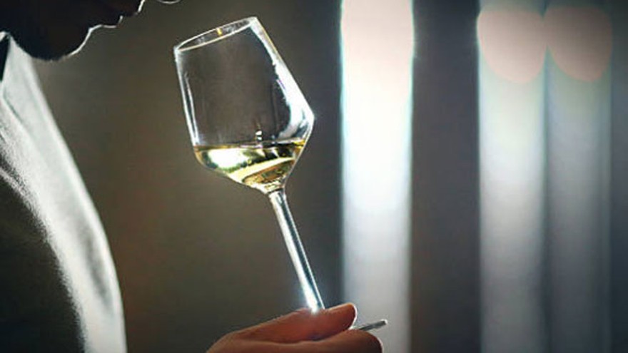 Cómo es el certamen en el que se elegirá al embajador de los vinos argentinos