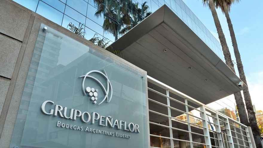 Peñaflor invierte u$s15 millones para ampliar producción de vinos en la provincia de Salta