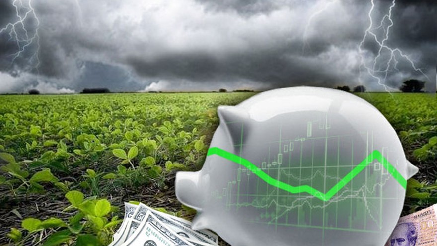 En el peor momento del campo, fondos de inversión agrícola se reconvierten para sostener ganancias