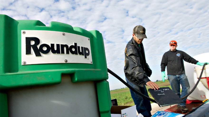 Otro revés para el glifosato: ahora Santa Fe vetó el uso y la venta del herbicida que creó Monsanto
