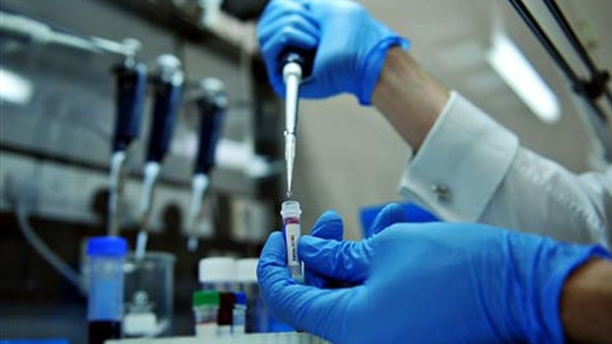 Alerta con el G4, la nueva cepa de gripe porcina originada en China que podría generar otra pandemia