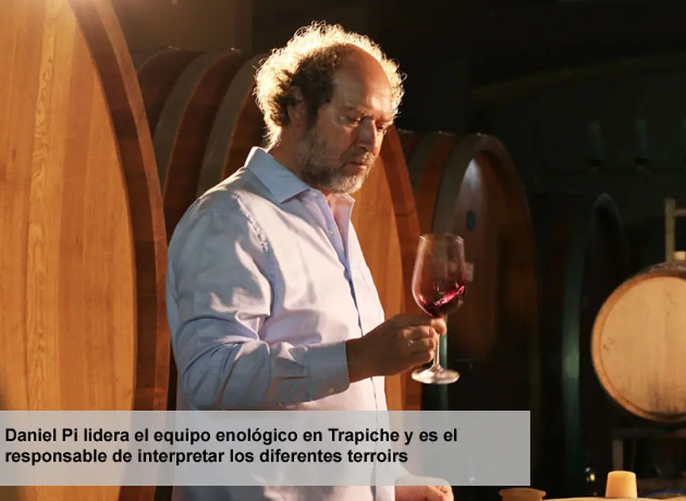 vino