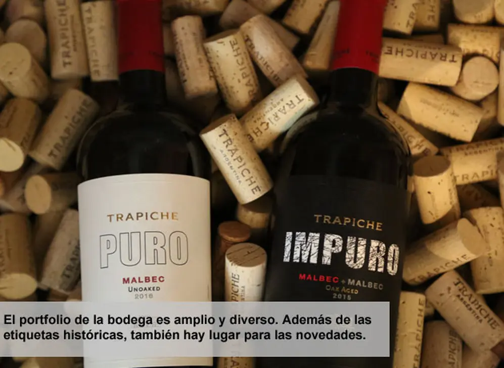 vinos