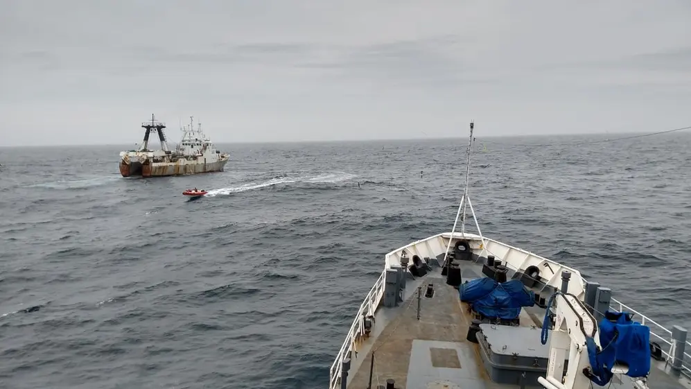Los barcos chinos depredan el calamar al borde a la zona económica exclusiva de la Argentina.