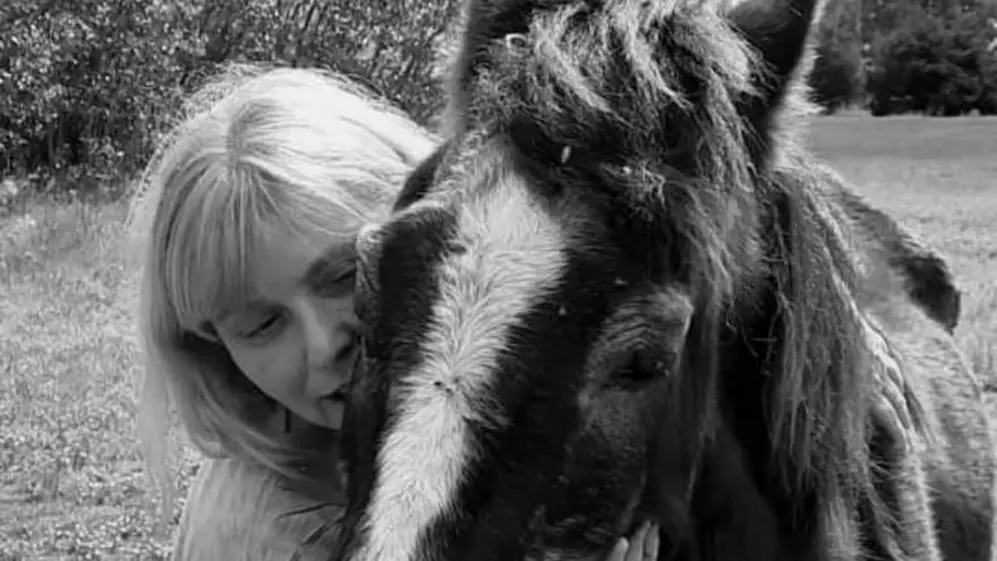 Carina Dotto, fundadora de la ONG Caballos de Quilmes, lleva rescatados a más de 800 caballos