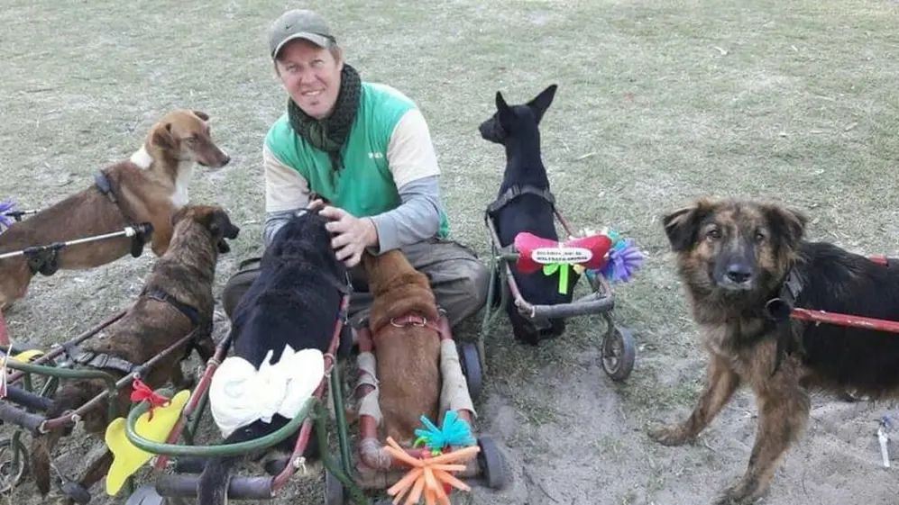Abandados y maltratados de las formas más crueles son los perros a los que el Polaco les da una segunda oportunidad