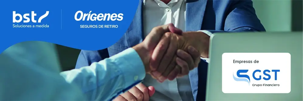 El grupo local es controlante de varias empresas, entre las que se destaca la compañía de seguros Orígenes 