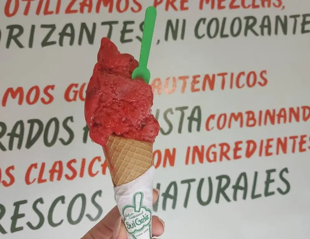 La ciruela es uno de los gustos preferidos del verano: ácido, refrescante y súper sabroso. 