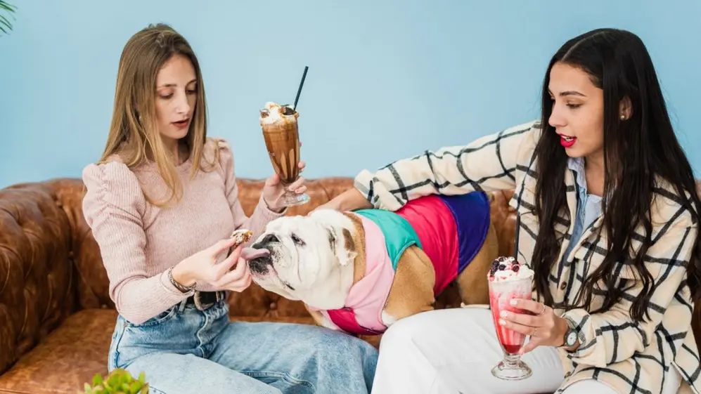 Pauletti nació en 2019 y hoy combina heladería, cafetería, pastelería y retail