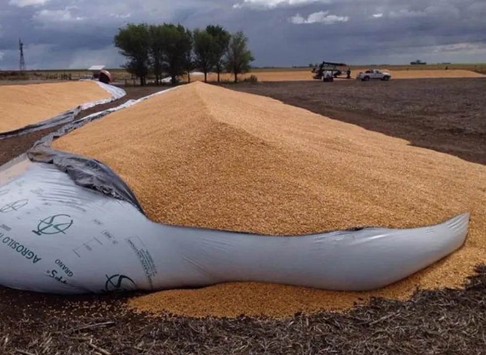 El kirchnerismo sigue viendo las silobolsas como una expresión de intentos desestabilizadores por parte del campo