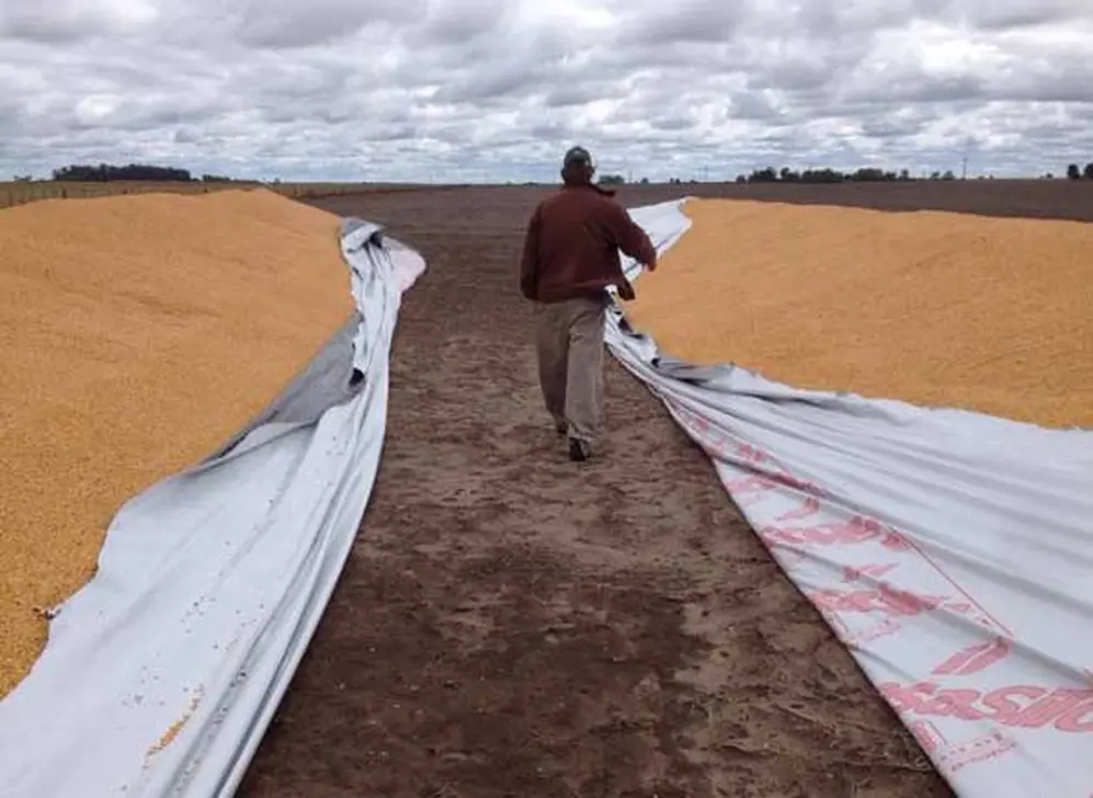 Los ataques a silobolsas calentaron el clima previo al 