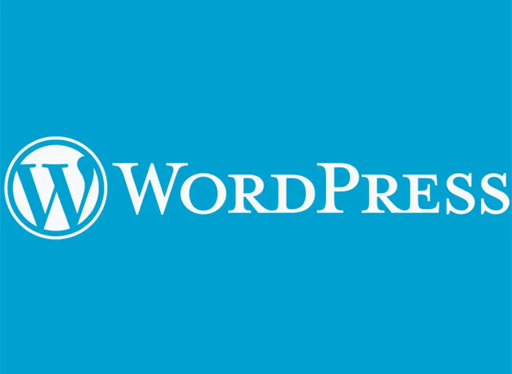 WordPress.com no tiene la flexibilidad de su hermano mayor WordPress.org.