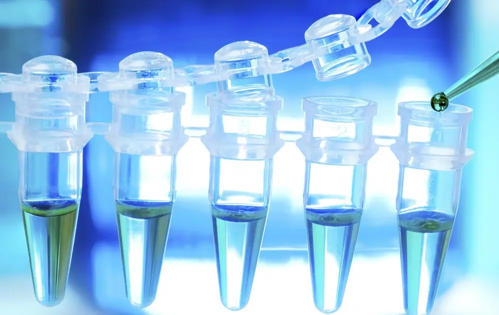 El proyecto busca unir la biotecnología con el arte.