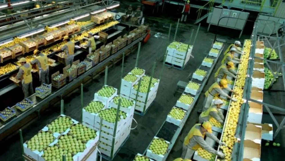 El grupo es tambien considerado como el mayor procesador mundial de limones 