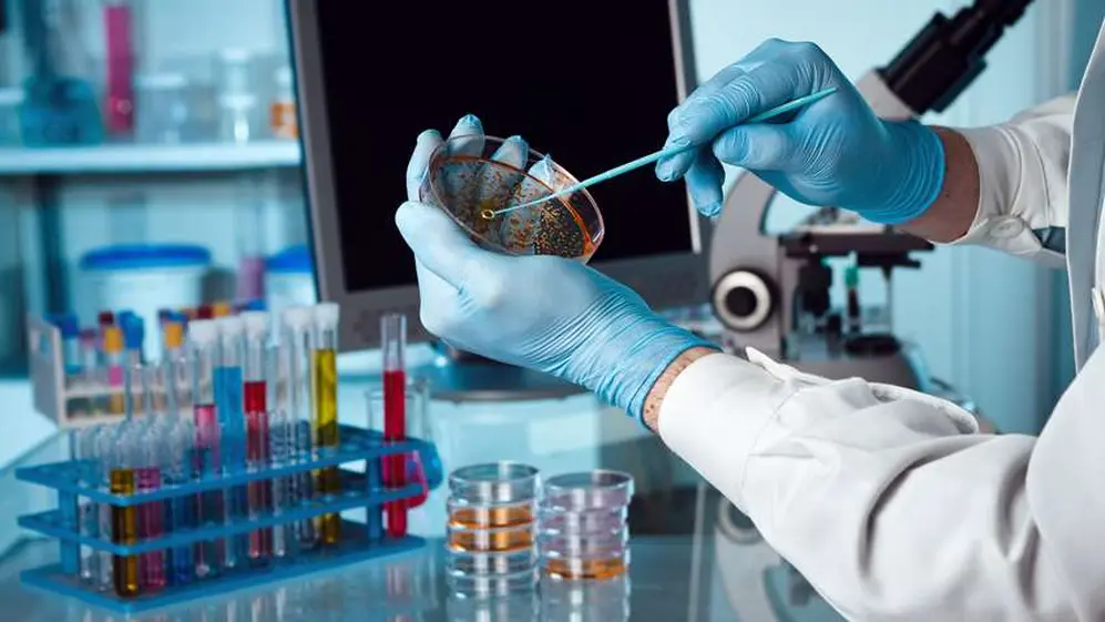 La tecnología aplicada en la mayoría de las empresas biotecnológicas argentina son los procesos biotecnológicos.
