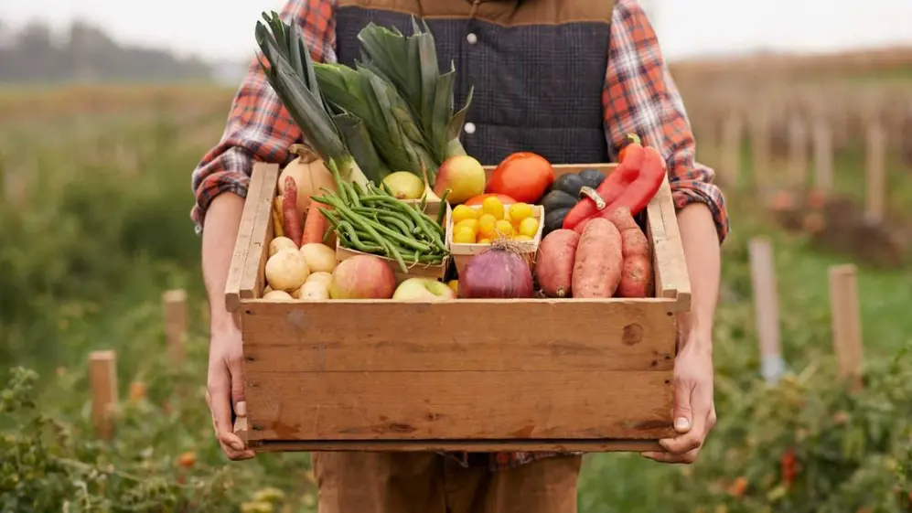 El 12% de los argentinos es vegano