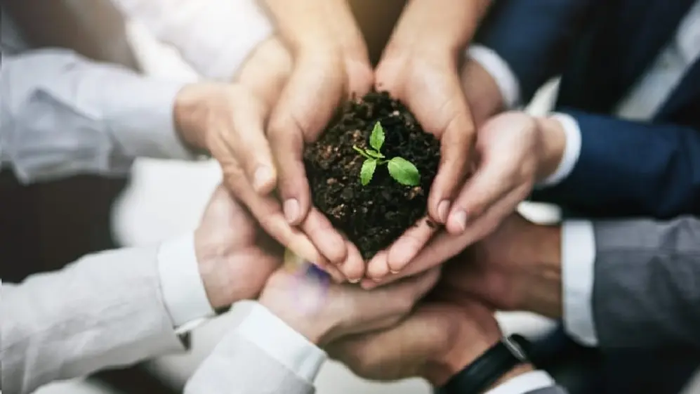 Sustentabilidad y desarrollo están presentes en diferentes esferas.