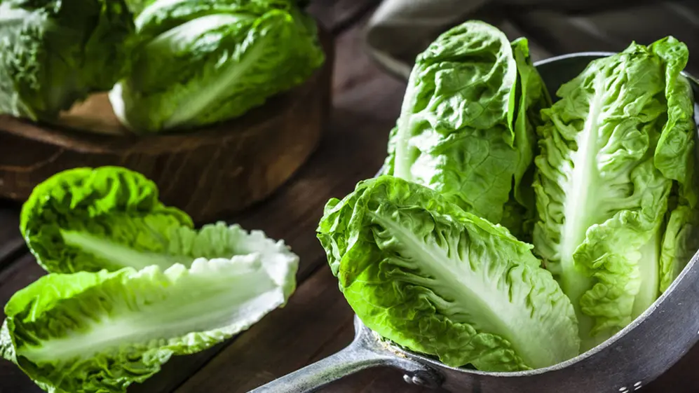 La lechuga tiene varios nutrientes esenciales para el organismo