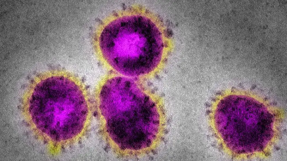 Se suele pensar que el coronavirus fue inventado por el hombre