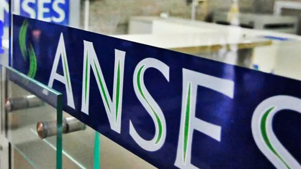 ANSES: cómo consultar un expediente
