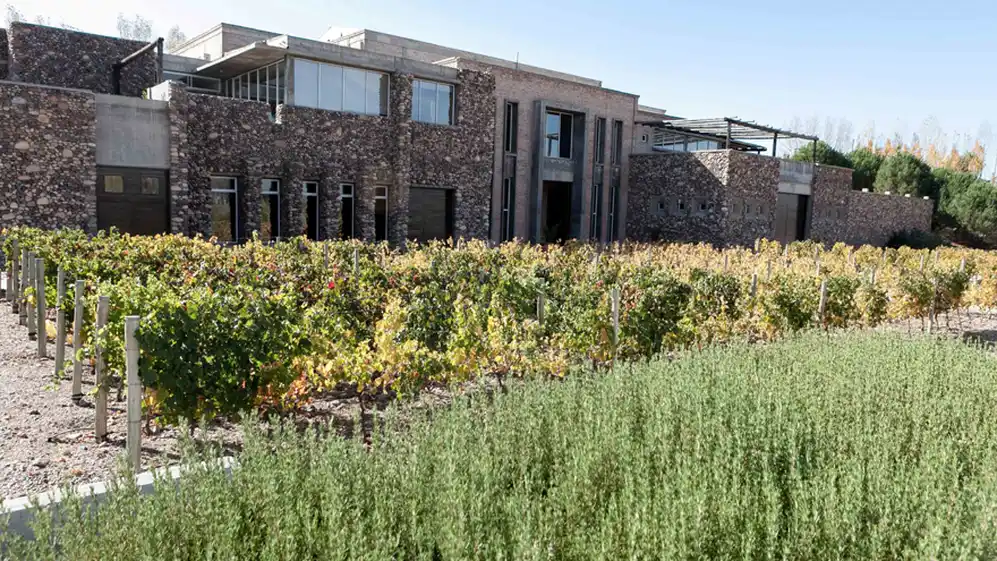 VINOS | Bodega de Bianchi en Valle de Uco 