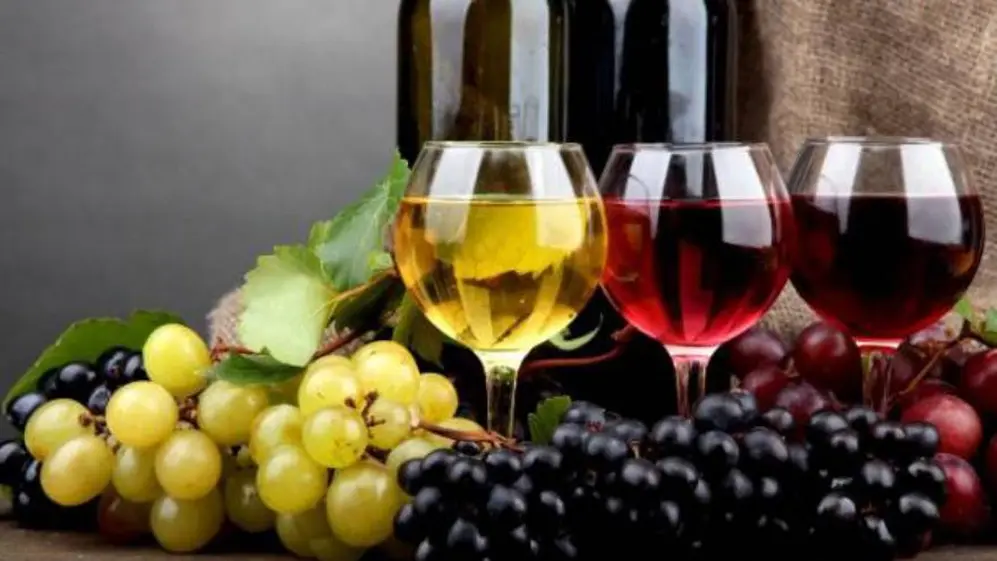 Las uvas son uno de los elementos centrales en la calidad del vino
