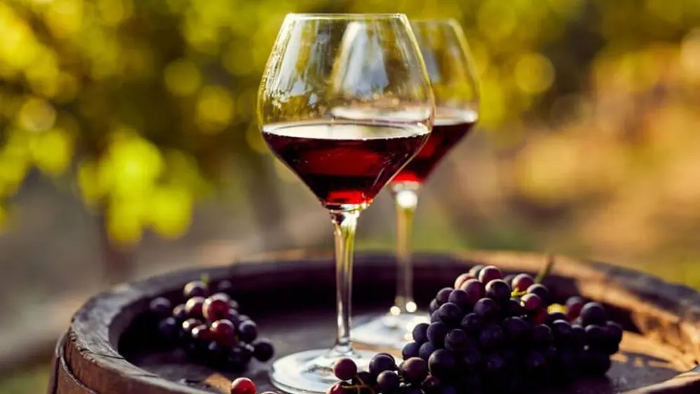 El vino nunca debe ser opaco, siempre brillante