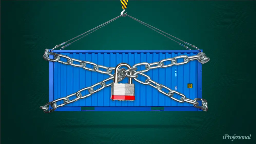 Los importadores deben registrarse y depende de cómo se categoriza la licencia el nivel de acceso a dólares que tendrán.