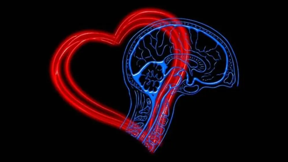 Qué es la inteligencia emocional, la mezcla entre la emoción y la razón.