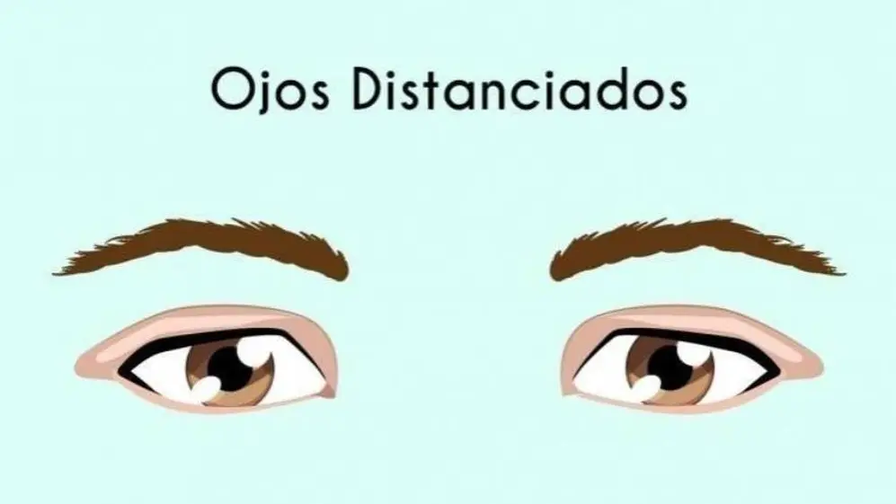 4. Ojos distanciados
