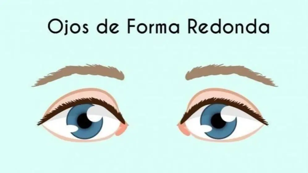 2. Ojos de forma redonda