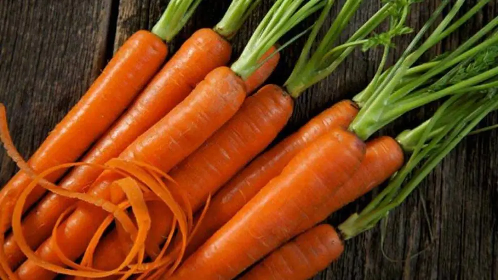 Los alimentos con vitamina A ayudan a fortalecer la salud bucodental