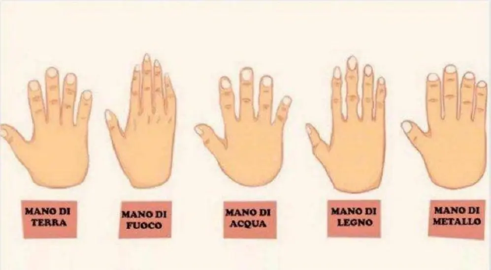 Las diferentes formas de manos que hablan de la persona.