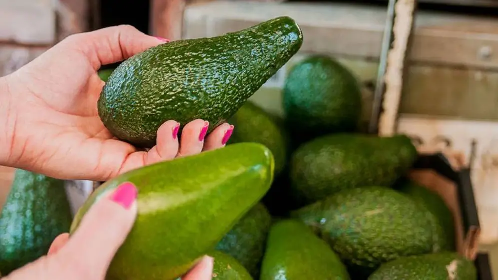 Una de las variedades de palta tiene su cáscara de un color verde intenso