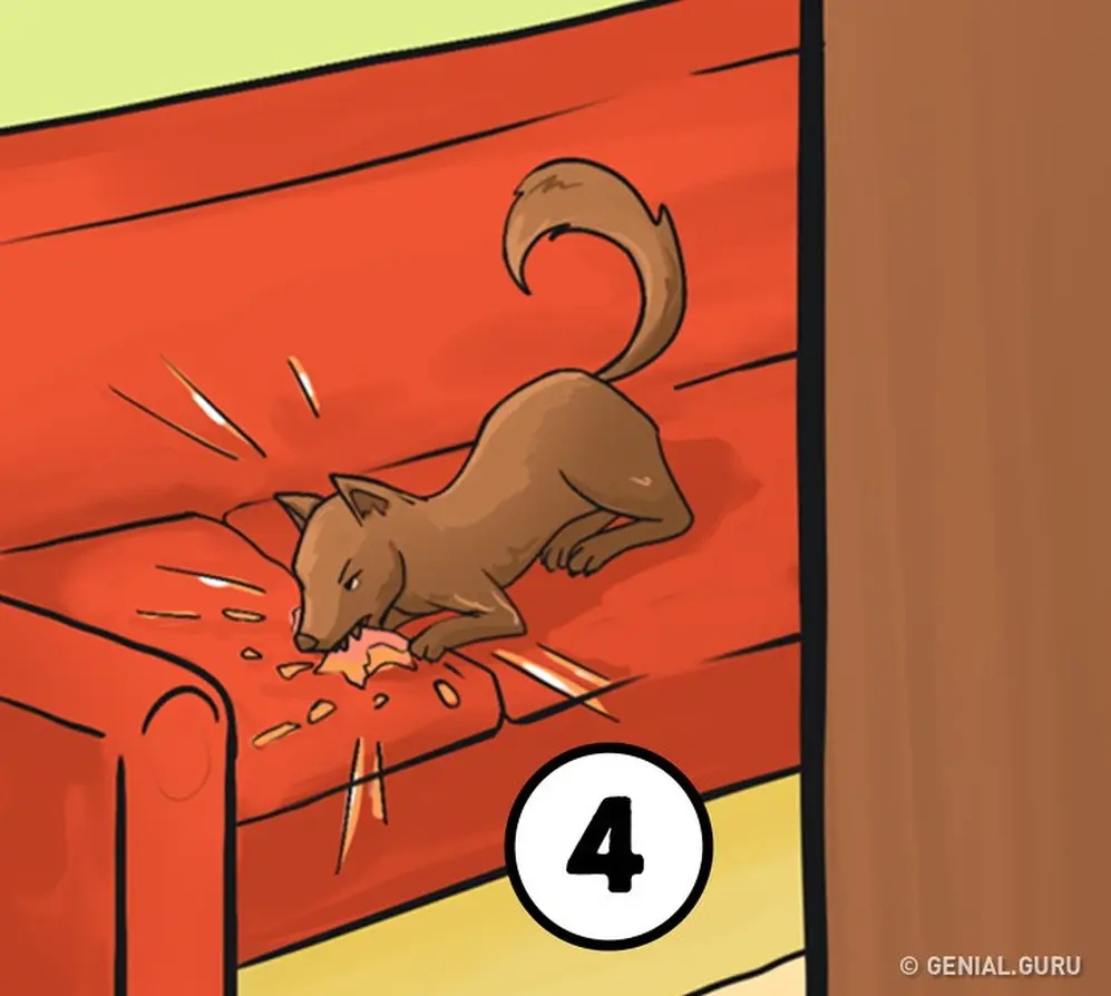 ¿Qué significa si lo primero que haces en esta imagen es rescatar al sillón del perro?