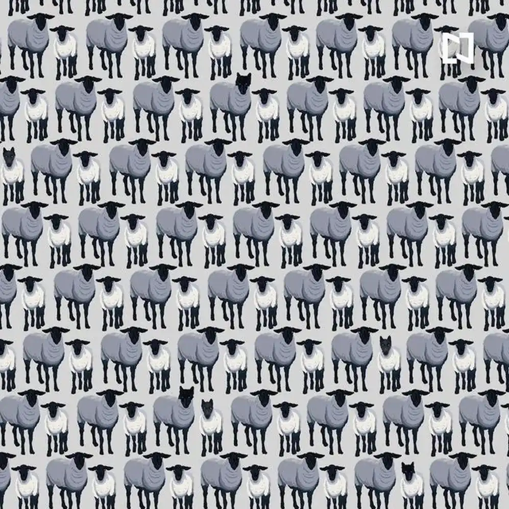 La imagen completa con lobos y ovejas.