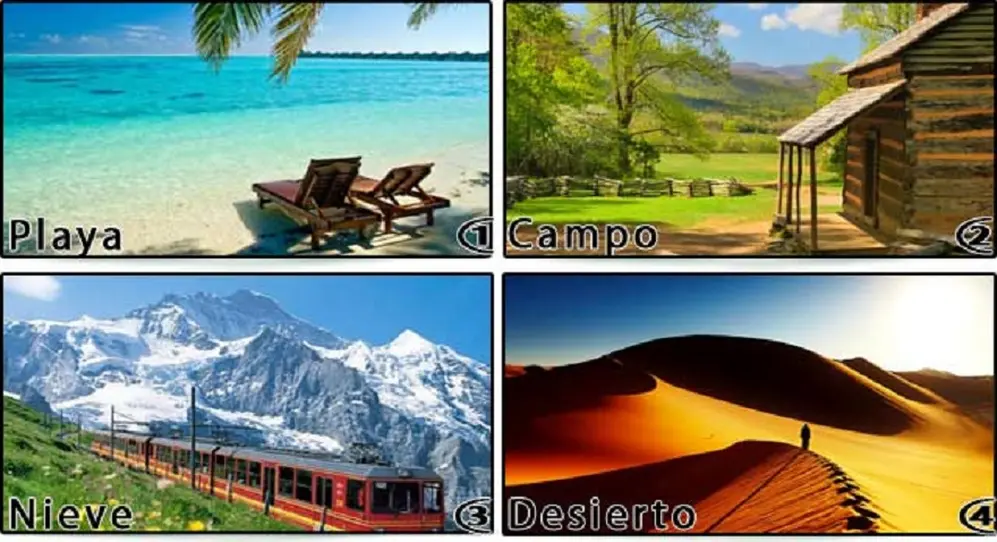 Todas las opciones para vacacionar.