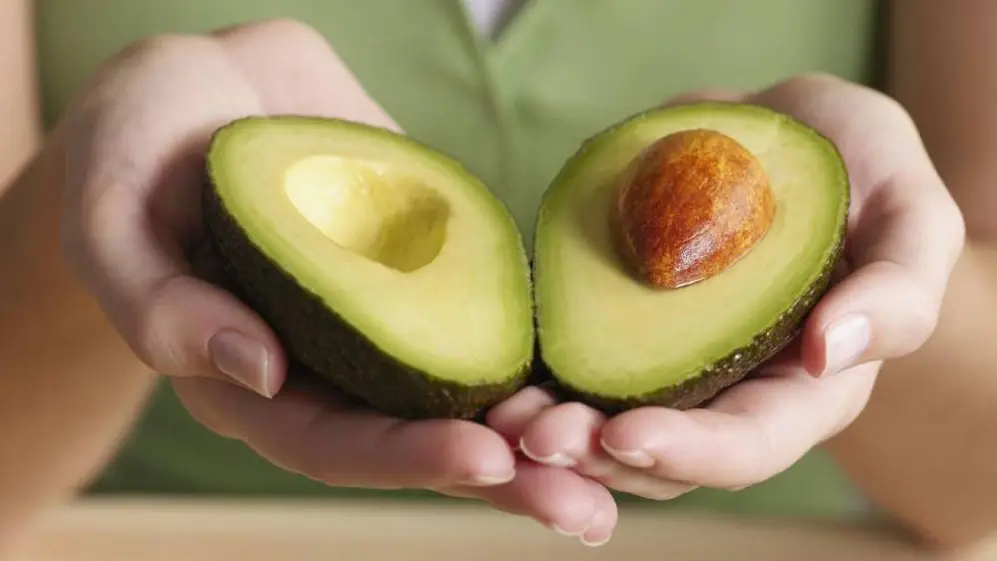 El consumo de palta aporta ácidos grasos y grasas saludables